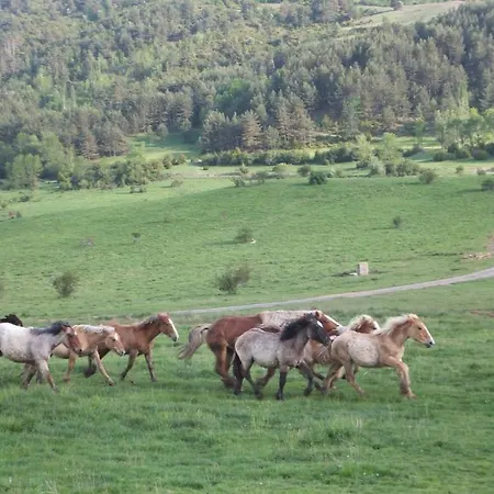Turisticos Batlle アパート Laspaúles