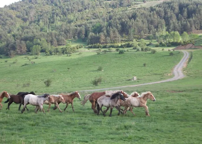 Turisticos Batlle Lägenhet Laspaúles